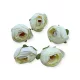 Boglárka virágfej 4,5 cm 5db/cs - Krém