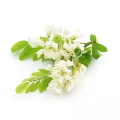 Akác illatolaj 10ml
