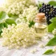 Bodza illatolaj 100ml
