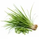 Citronella 100% illóolaj 10ml