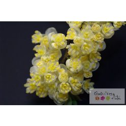 Litsea Cubeba 100% illóolaj 100ml