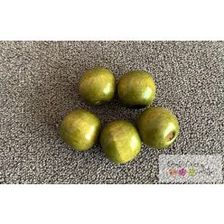 Fagyöngy 16mm 5db/cs - zöld