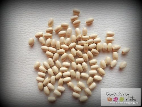 Fagyöngy 6x4 mm - natúr rizs 100 db 