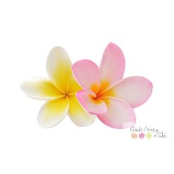 Frangipani illatolaj 10ml