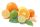 Lime, bazsalikom, mandarin illatolaj 10ml