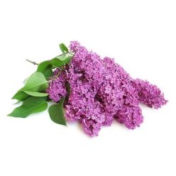 Orgona illatolaj 10ml