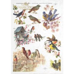 Rizspapír A/4 R0325 - Madarak