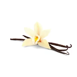 Vanília illatolaj 10ml
