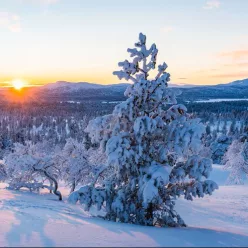 Winterscape - téli panoráma 10 ml