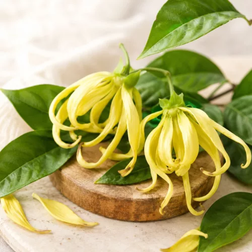 Ylang-ylang 100% illóolaj 10ml