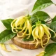 Ylang-ylang 100% illóolaj 10ml