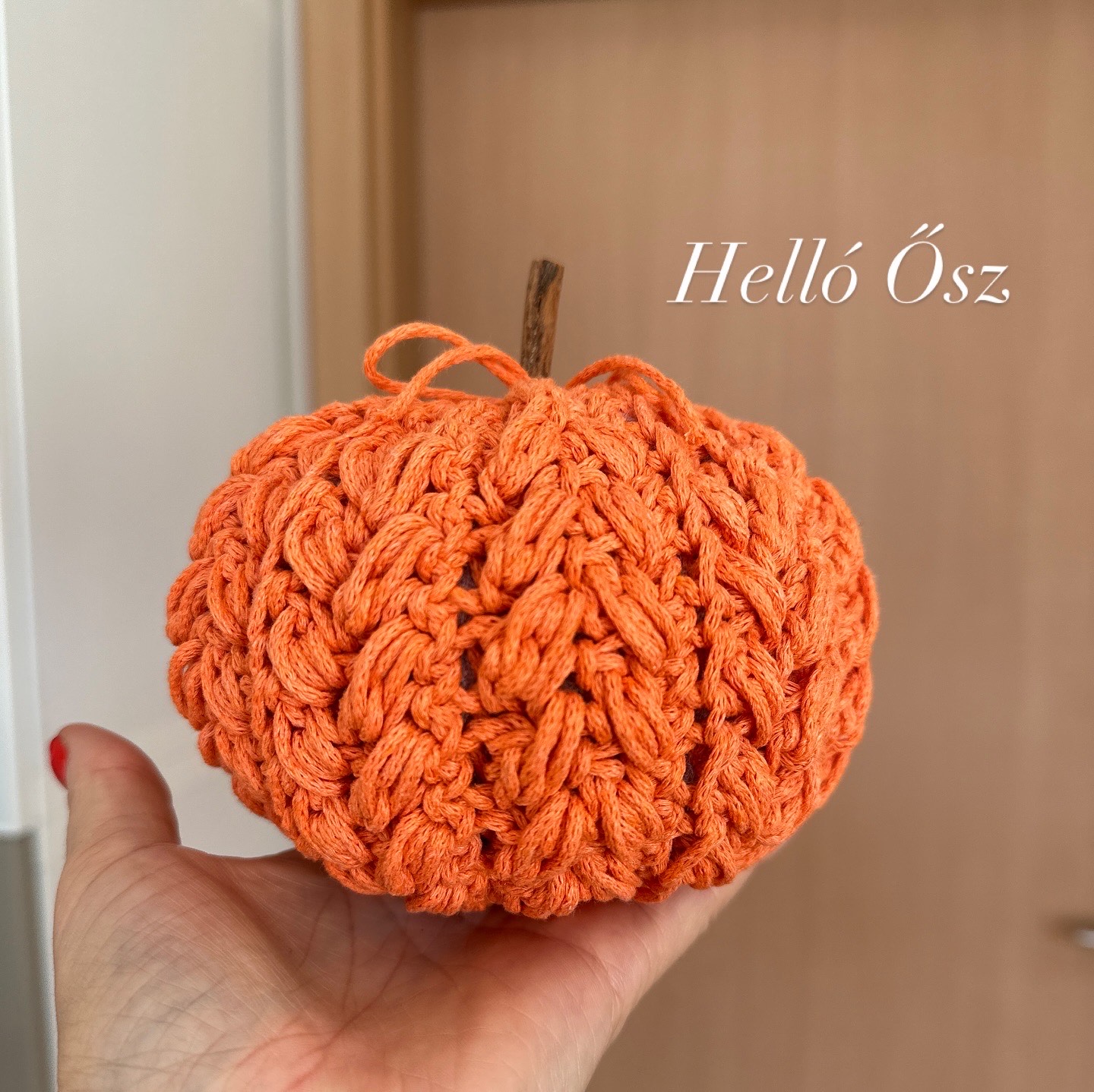 Helló Ősz – horgolt tök